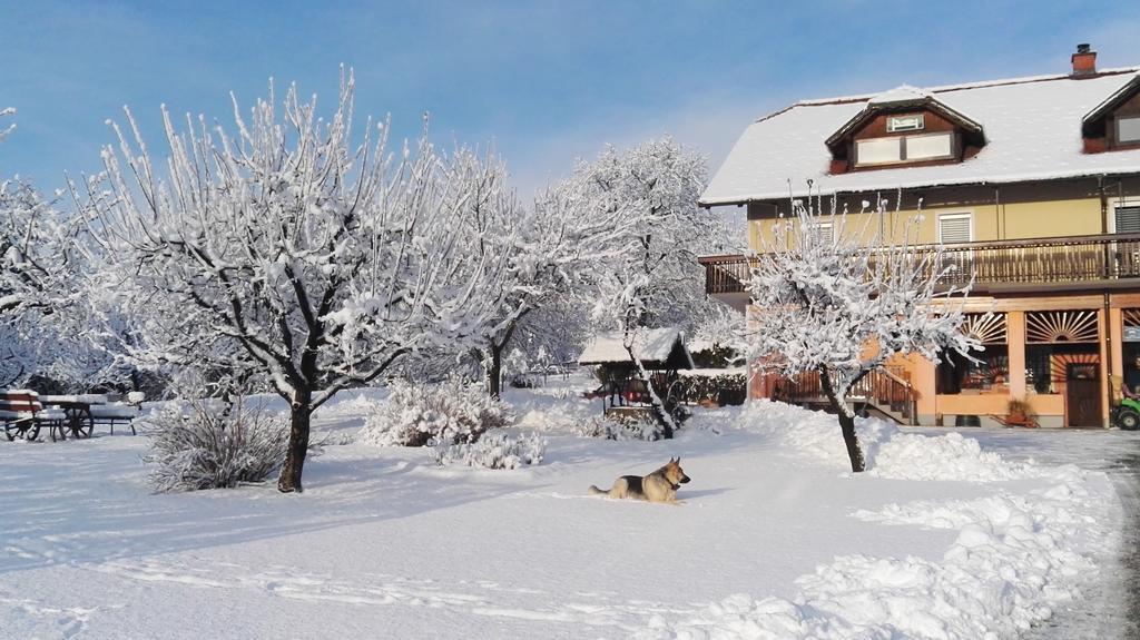 Panorama B&B พทุย ภายนอก รูปภาพ