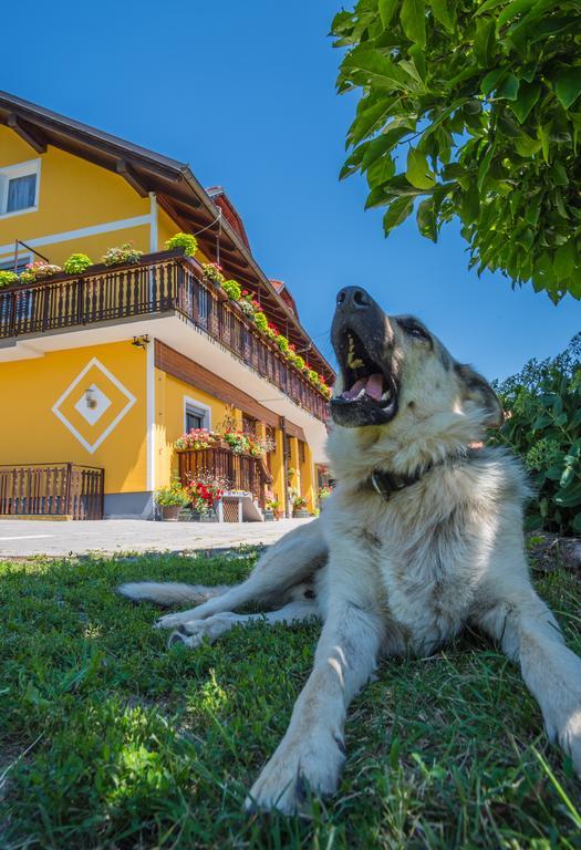 Panorama B&B พทุย ภายนอก รูปภาพ